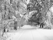 black and white snowy passage